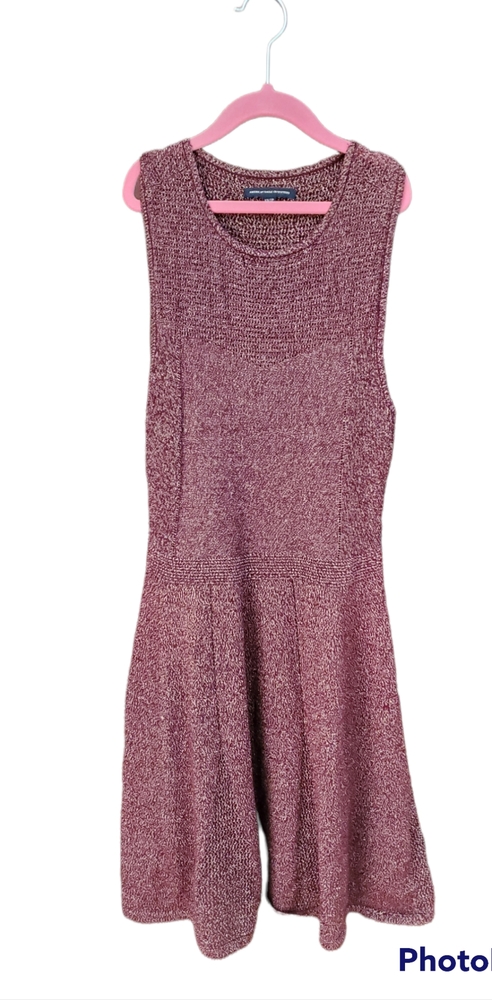 American Eagle Outfitters XS Aubergine Glitter Fit & Flare Dress